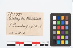 Etikett zu Bronzecertosafibel (NHMW-PRAE-026555)